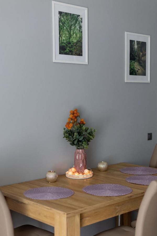 Apartament Silver Duszniki Zdrój Exteriér fotografie